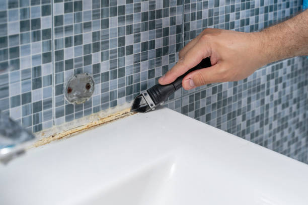 Best Mold Cleaning Services  in Atkinson, IL